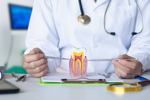 Best Broken or Cracked Tooth Emergency Dentist in Grayson, CA